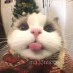 Avatar de Ismael Ceballos